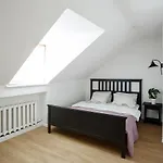Baron\'S Arthouse Apartment
